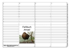 Faltbuch-Amsel-L-12.pdf